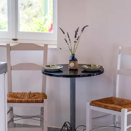 Kerkis Traditional Apartment *